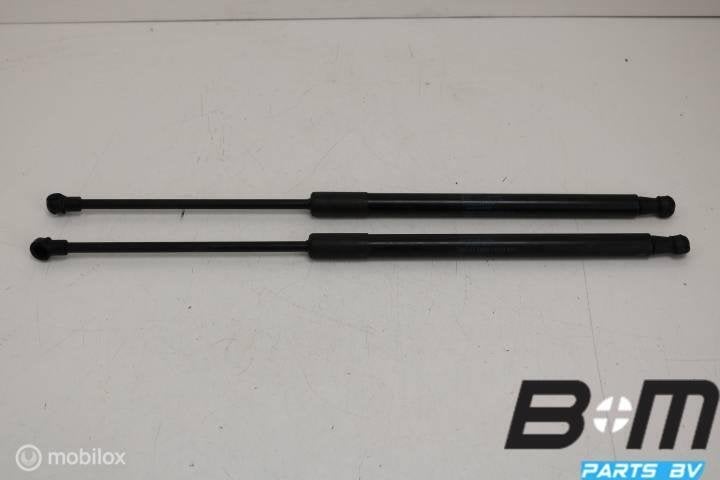 Set gasdrukveren achterklep Smart ForFour A4539800164, Utilisé