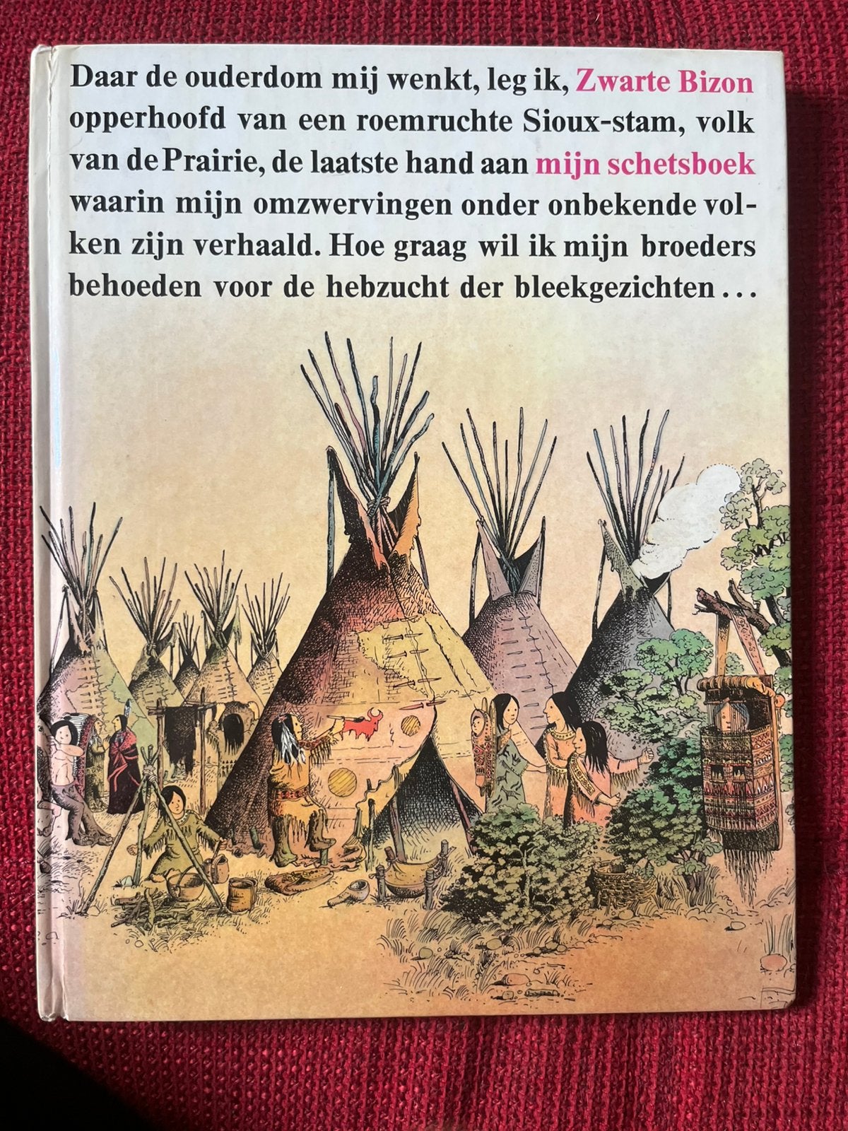 Boek Sioux indianen - Het schetsboek van Zwarte Bizon, Ophalen, Zo goed als nieuw