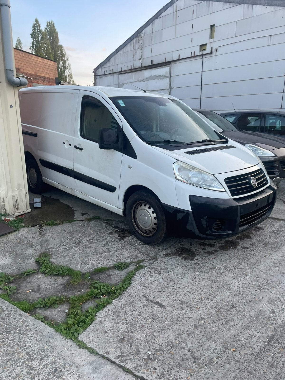 Fiat, Bedrijf, Te koop