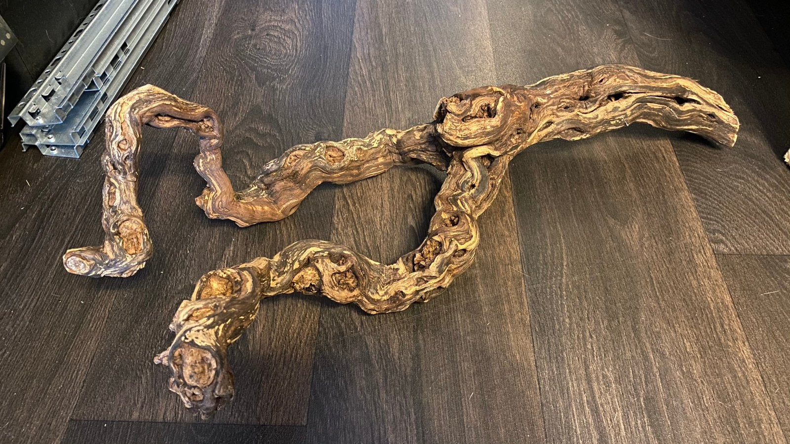 Wijnstok voor knaagdieren of reptielenterrarium, Dieren en Toebehoren, Ophalen, Nieuw