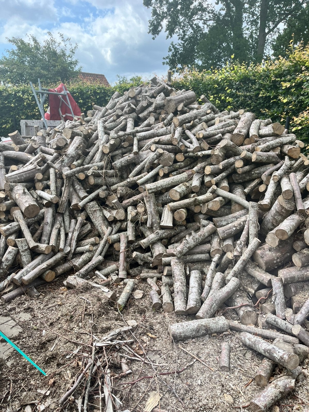 Haagbeuk brandhout, 6 m³ of meer, Ophalen, Beukenhout, Blokken