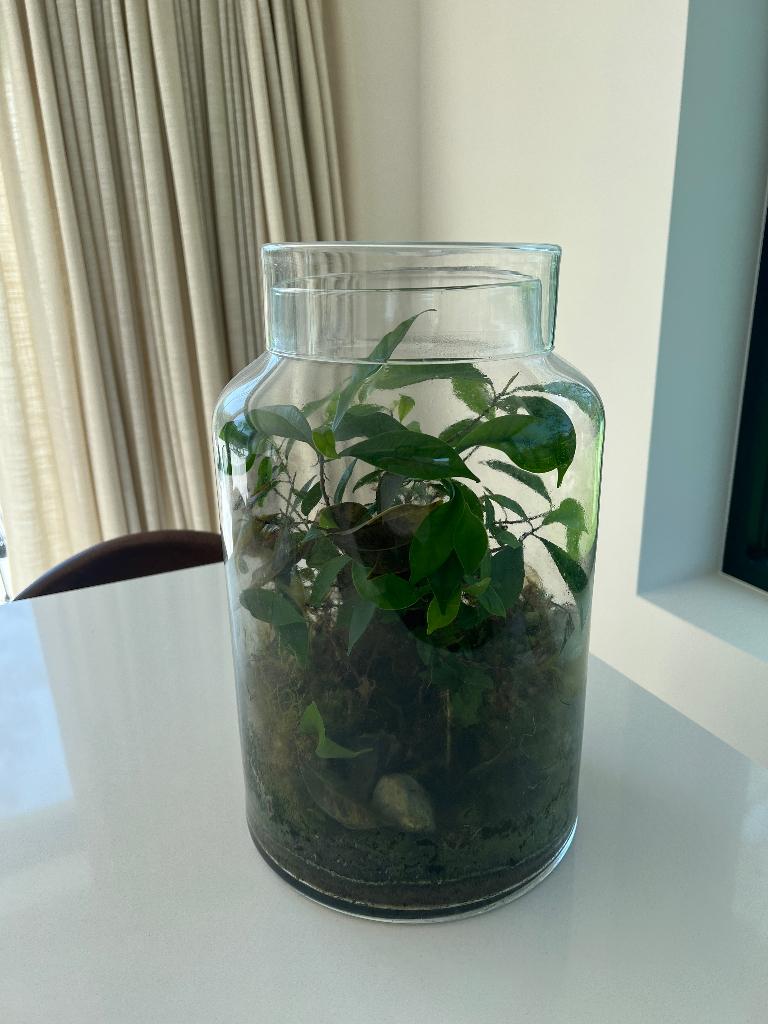 Magnifique terrarium, Enlèvement, Moins de 100 cm