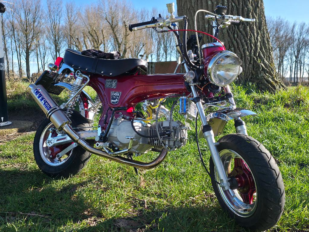 honda motodax 140YX, Motoren, Particulier