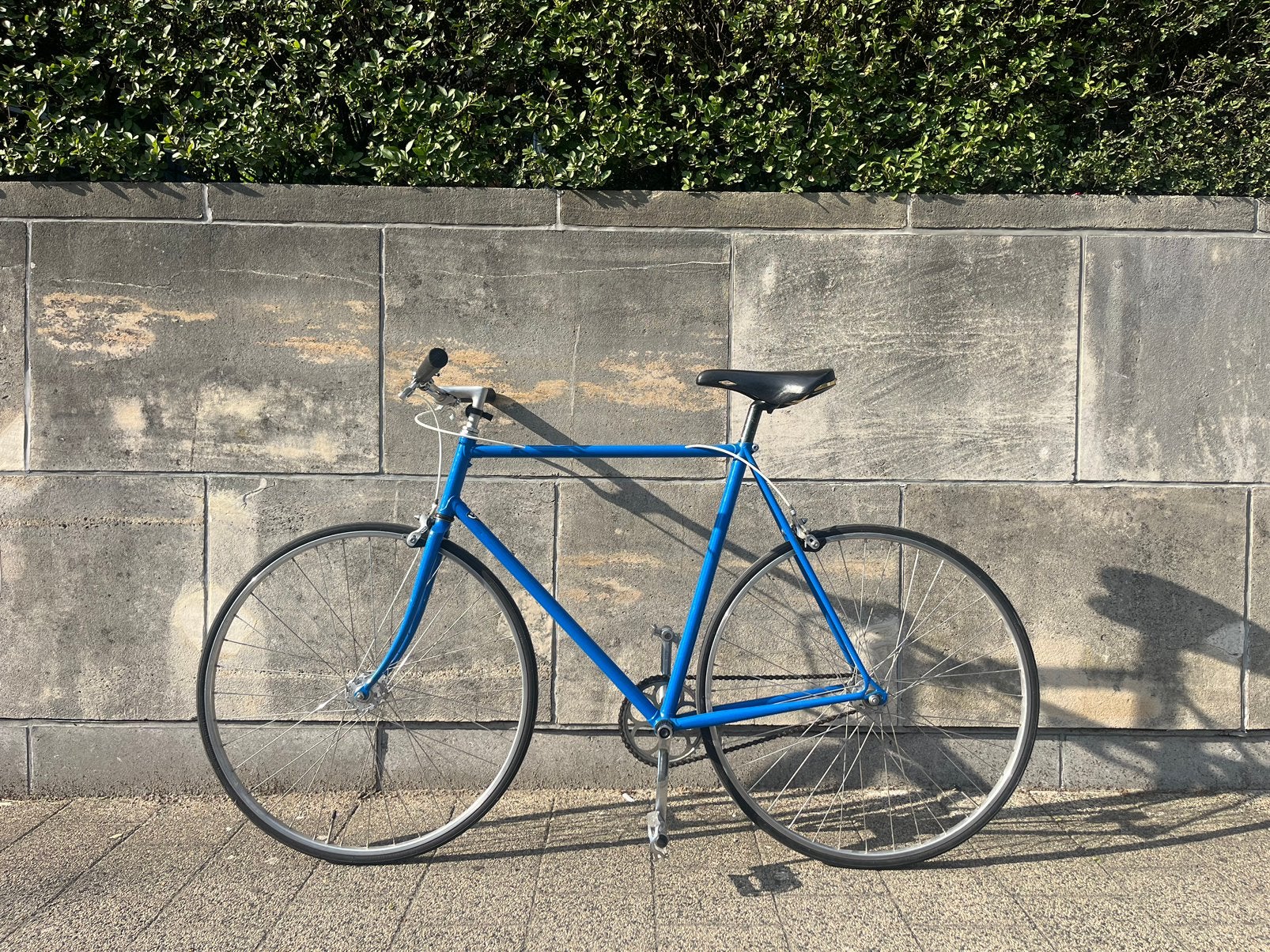 Singlespeed blauw, Fietsen en Brommers, Ophalen