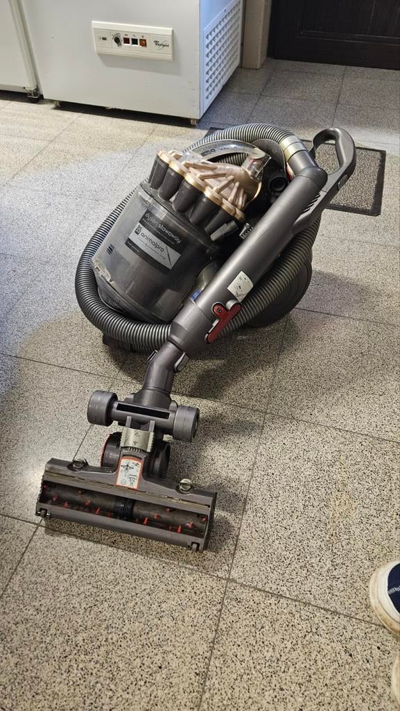 ​Dyson DC23 met Elektrische Borstel – Ideaal voor Dierenhare, Enlèvement, Aspirateur
