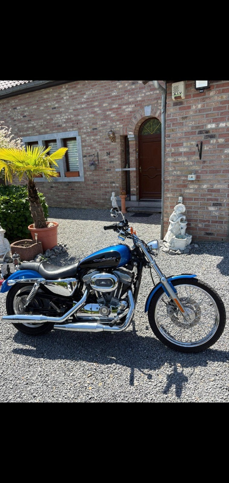 Harley Davidson 883 2006  13000miles, Motos, Motos | Harley-Davidson, Particulier