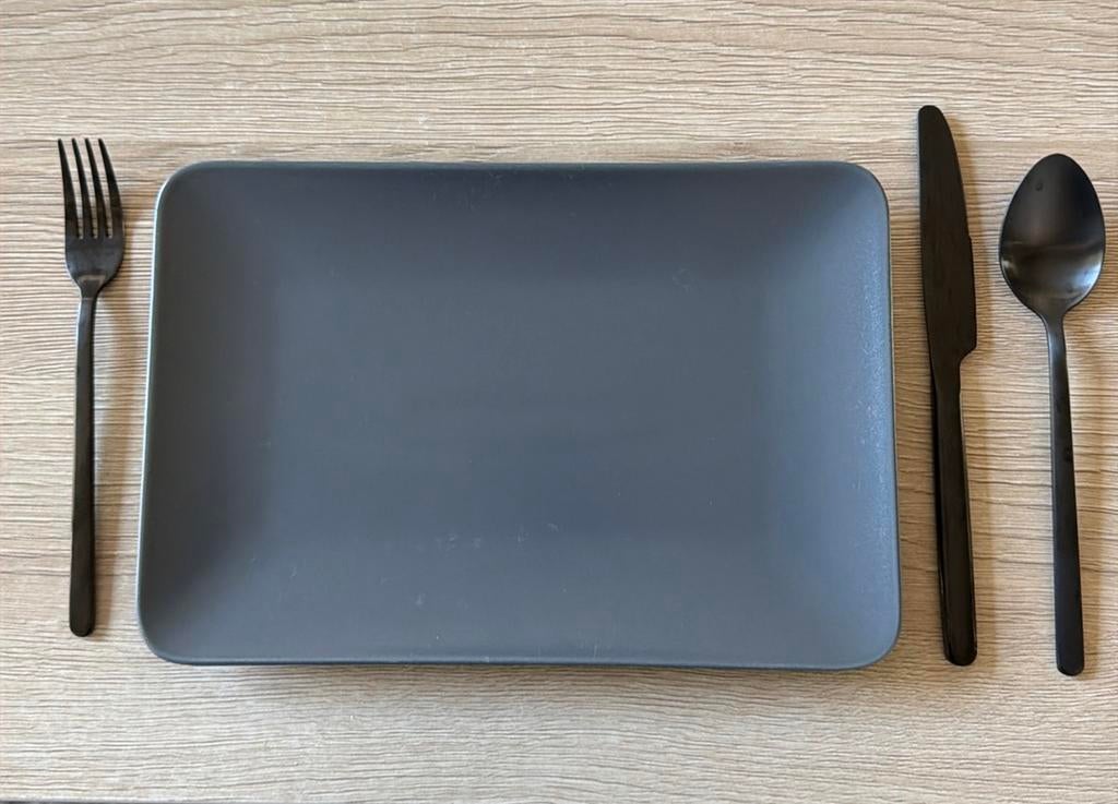 Gastronomische rechthoekige borden (prijs per bord), Huis en Inrichting, Ophalen of Verzenden, Zo goed als nieuw, Bord(en)