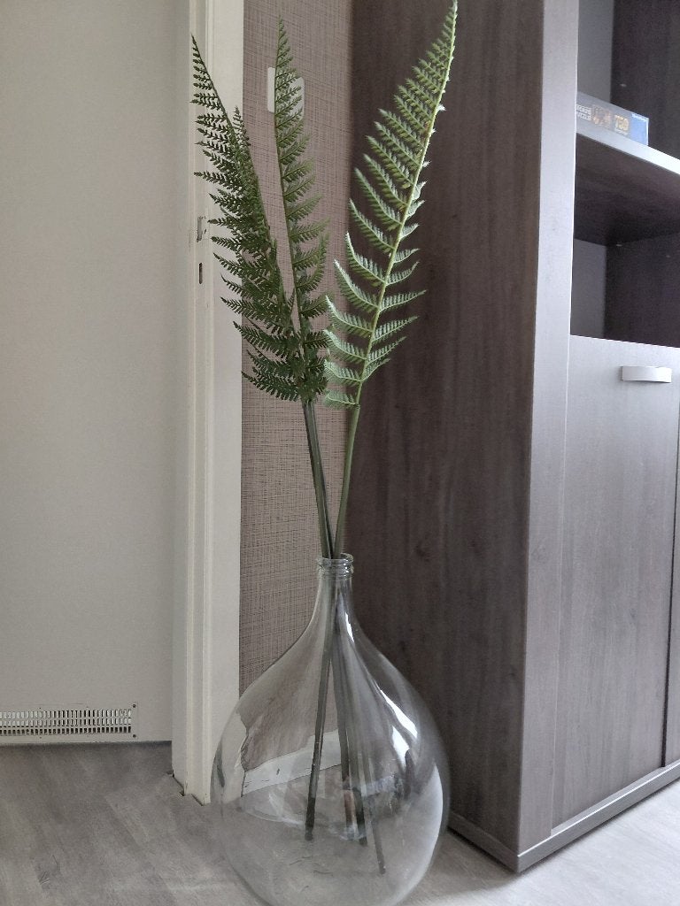 Vaas, Ophalen, Overige kleuren, 50 tot 75 cm, Glas