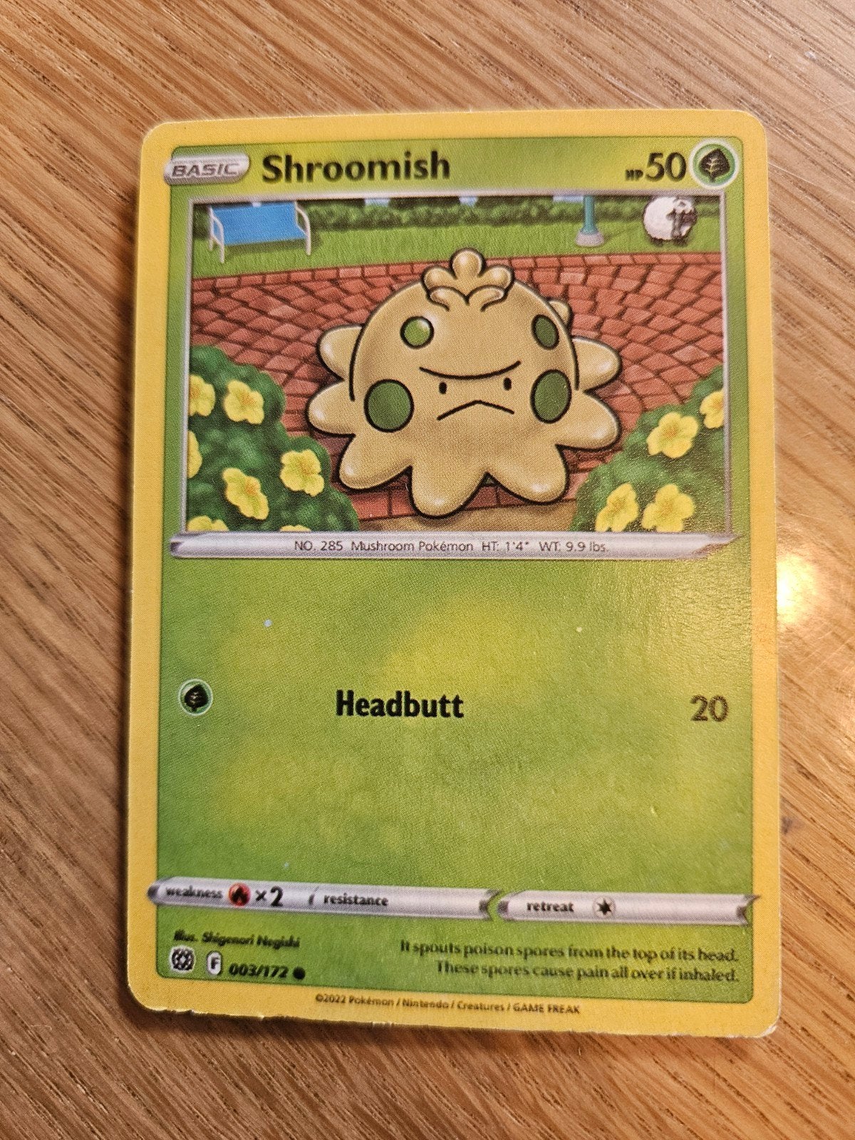 Shroomish, Ophalen