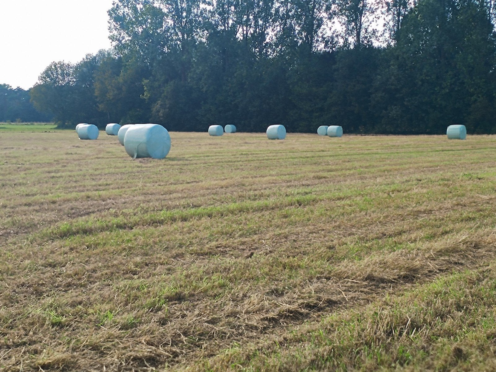 Gewikkelde balen DROOG hooi 1m30, Enlèvement