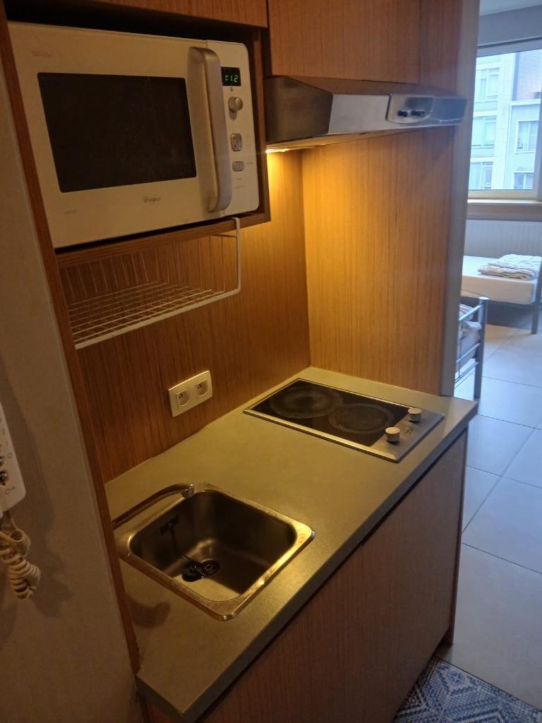 TE HUUR BEMEUBELDE STUDIO, 20 tot 35 m², Antwerpen (stad)