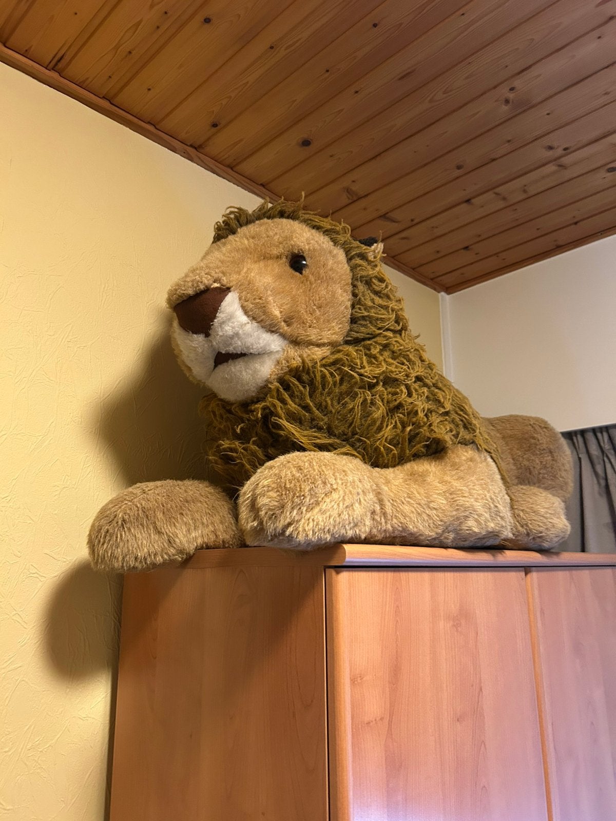 Grote knuffel leeuw, Enfants & Bébés, Jouets | Peluches, Enlèvement, Utilisé, Lion