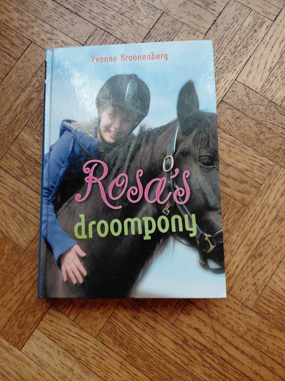 Yvonne Kroonenberg: Rosa's droompony, Ophalen of Verzenden, Gelezen