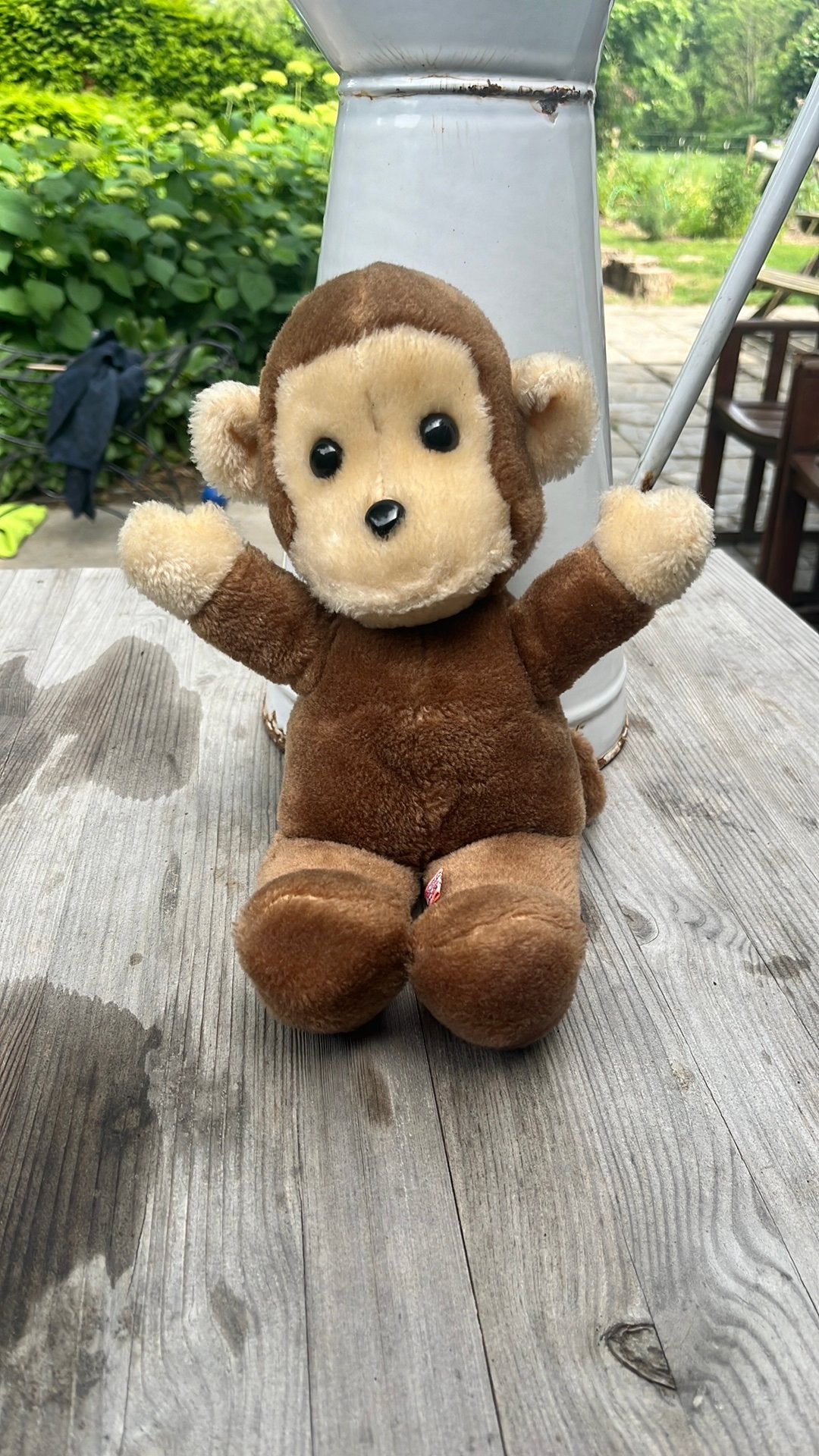 Aapje Dakin jaren 70, Verzamelen, Beren en Cherished Teddies, Ophalen of Verzenden, Zo goed als nieuw