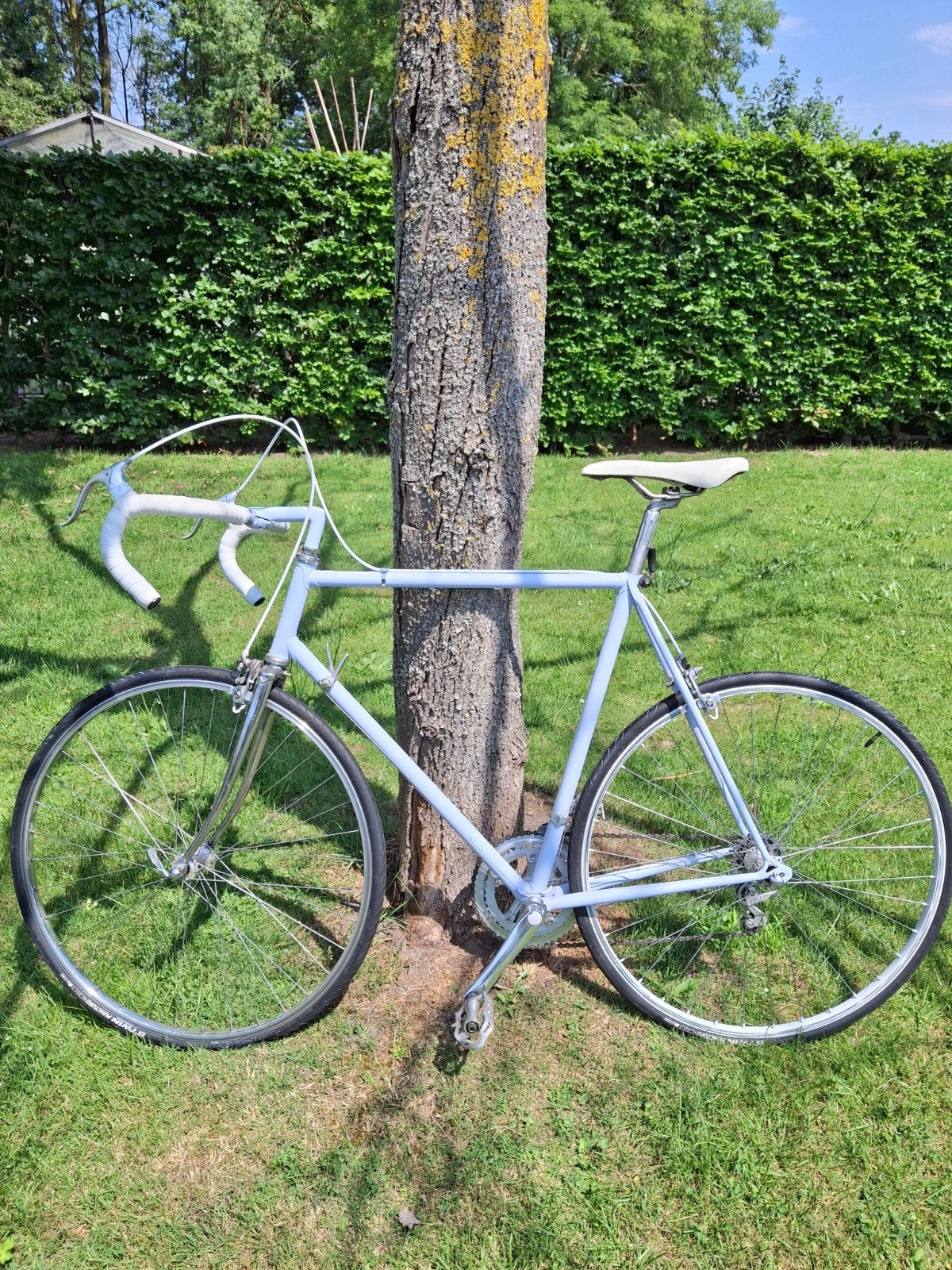 Koersfiets vintage, Enlèvement