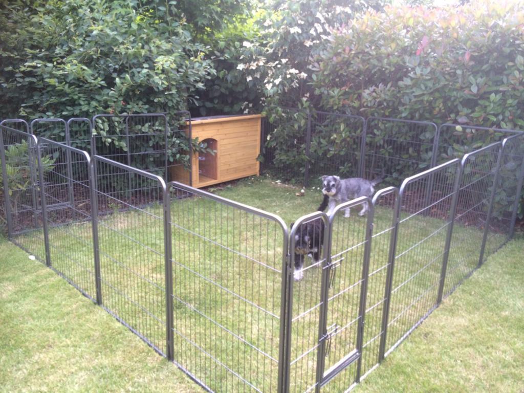 Honden bench, Dieren en Toebehoren, Hondenbenches, Ophalen