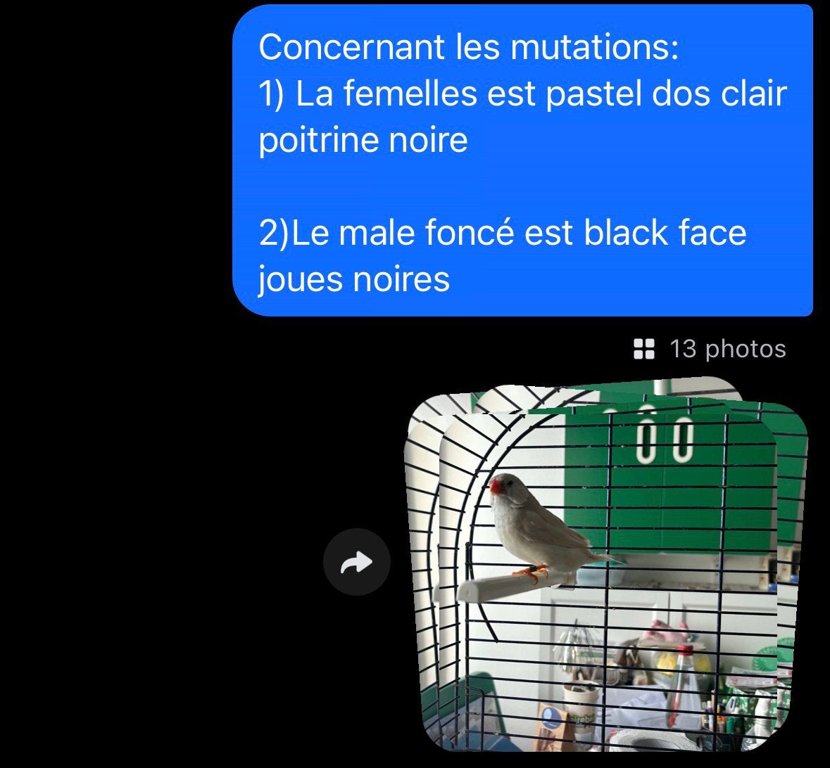 Me contacter., Enlèvement ou Envoi, Comme neuf, Autres matériaux, Cage à oiseaux