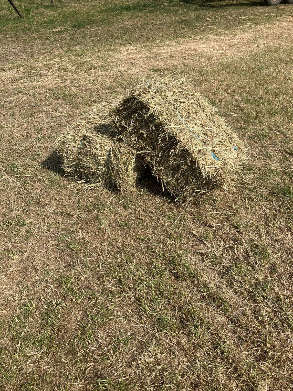 Kleine botten hooi, Ophalen