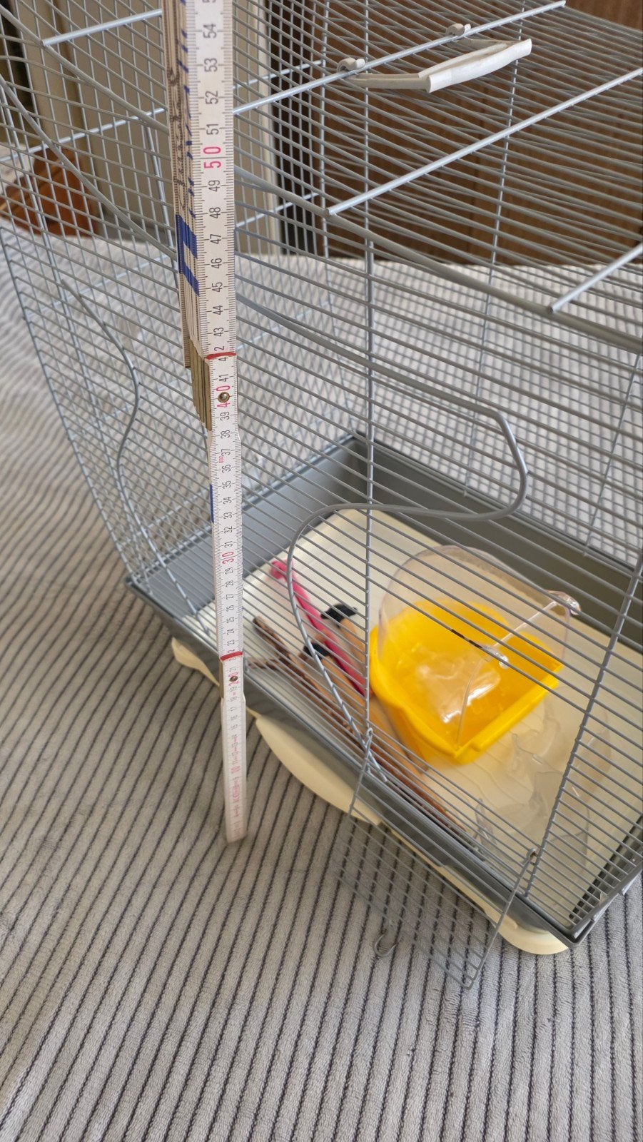 Vogelkooi, Dieren en Toebehoren, Vogels | Hokken en Kooien, Ophalen, Vogelkooi