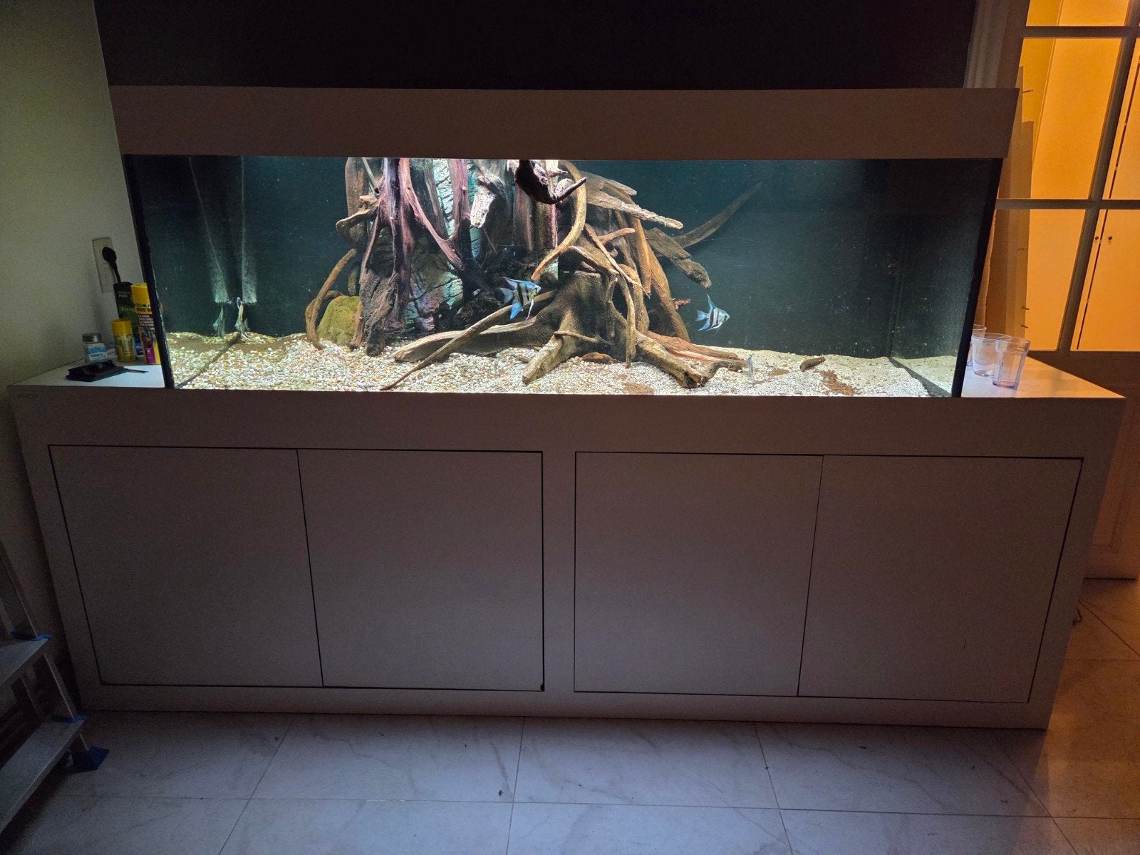 Groot aquarium gratis, Enlèvement, Chauffage, Eheim