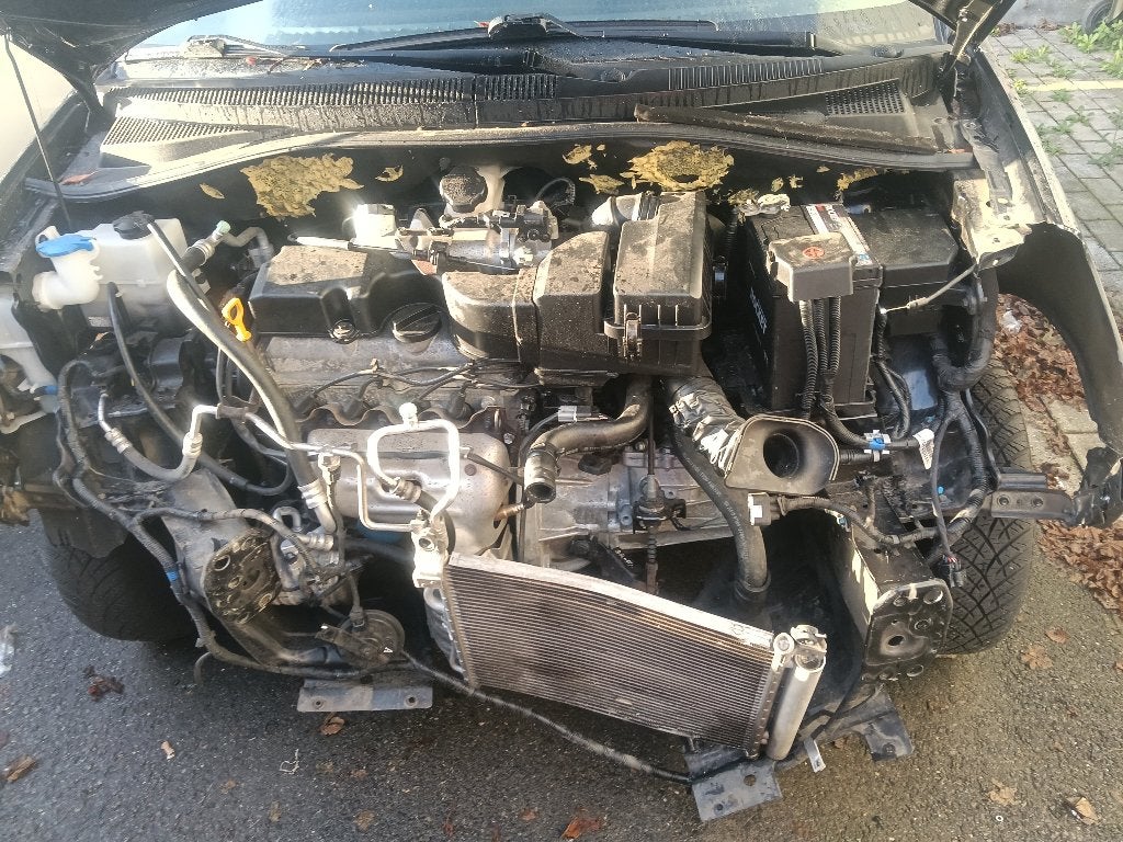 Kia Picanto, Autos, Achat, Boîte manuelle, 5 portes, Particulier