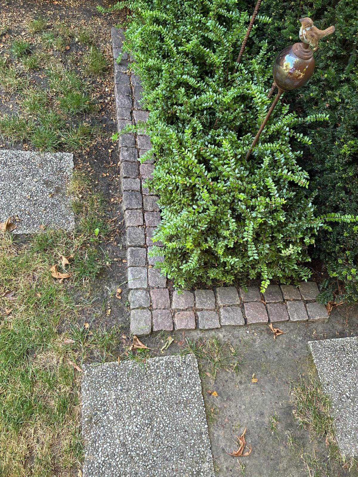 Kleine kasseien / kinderkopjes, Ophalen, Gebruikt