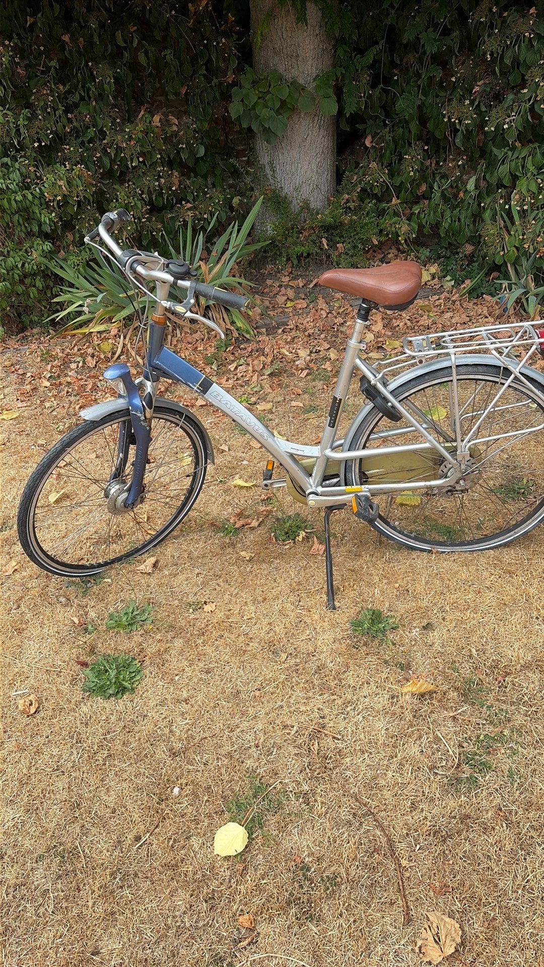 Batavus stadsfiets – ideale studentenfiets, Fietsen en Brommers, Fietsen | Vouwfietsen, Ophalen, Gebruikt, Batavus, Versnellingen