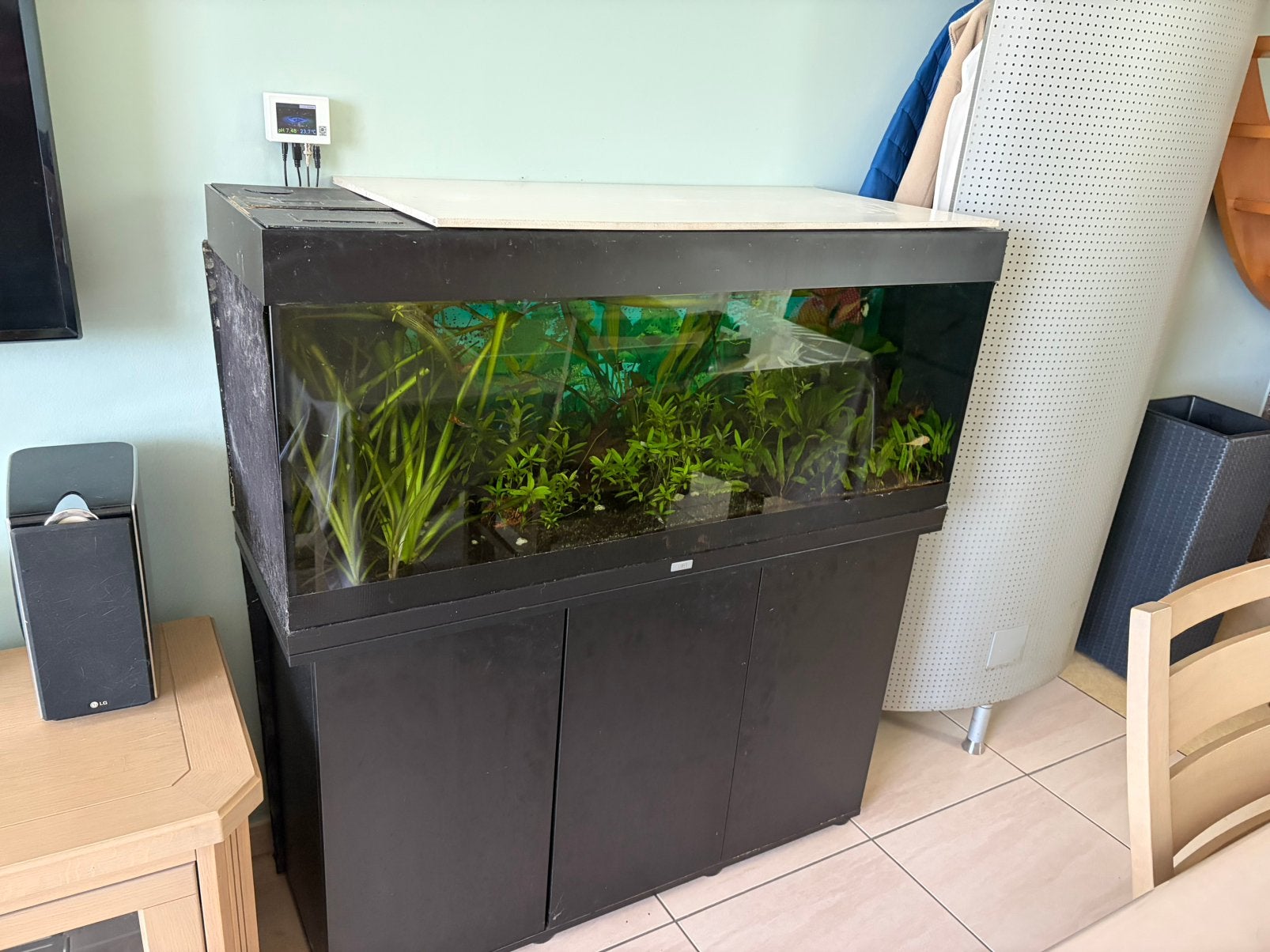 Aquarium inclusief vissen, Ophalen, Inclusief vissen, Gebruikt