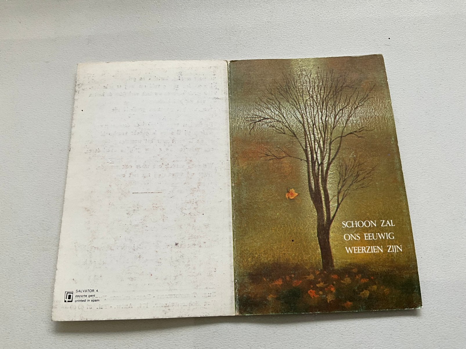 bidprentje uit 1893 - 1978 – Mevrouw Alida Everaere Woesten, Ophalen of Verzenden, Bidprentje