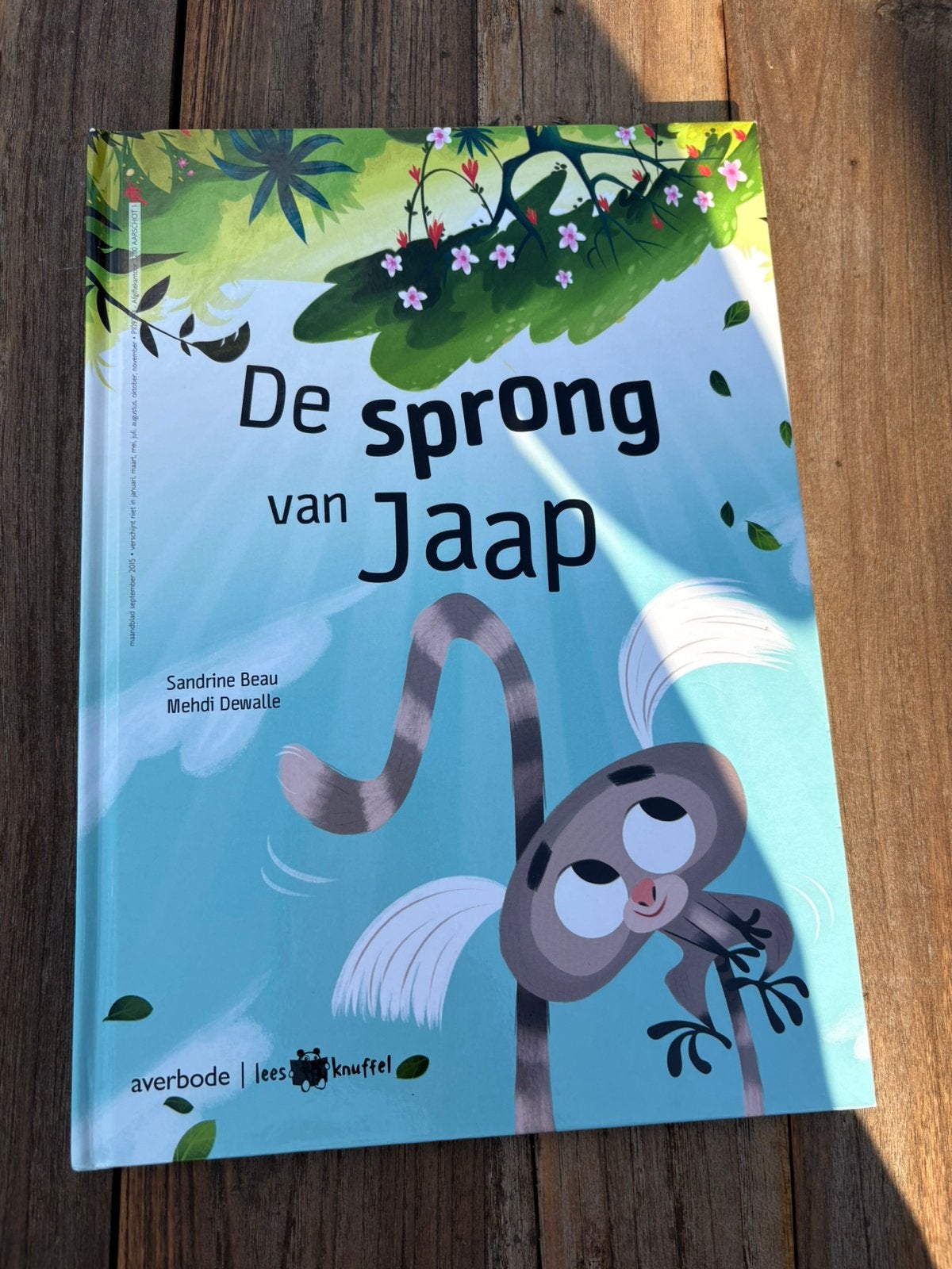 Leesboek - De sprong van Jaap, Boeken, Ophalen, Zo goed als nieuw, Nederlands