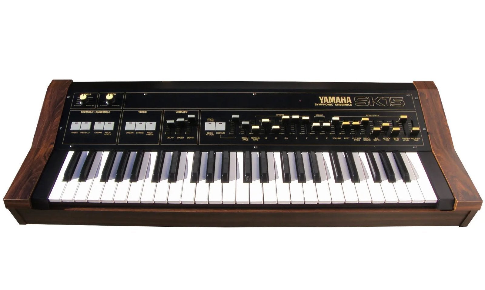 GEZOCHT: Yamaha SK15, Muziek en Instrumenten, Synthesizers, Ophalen of Verzenden, Zo goed als nieuw, Yamaha