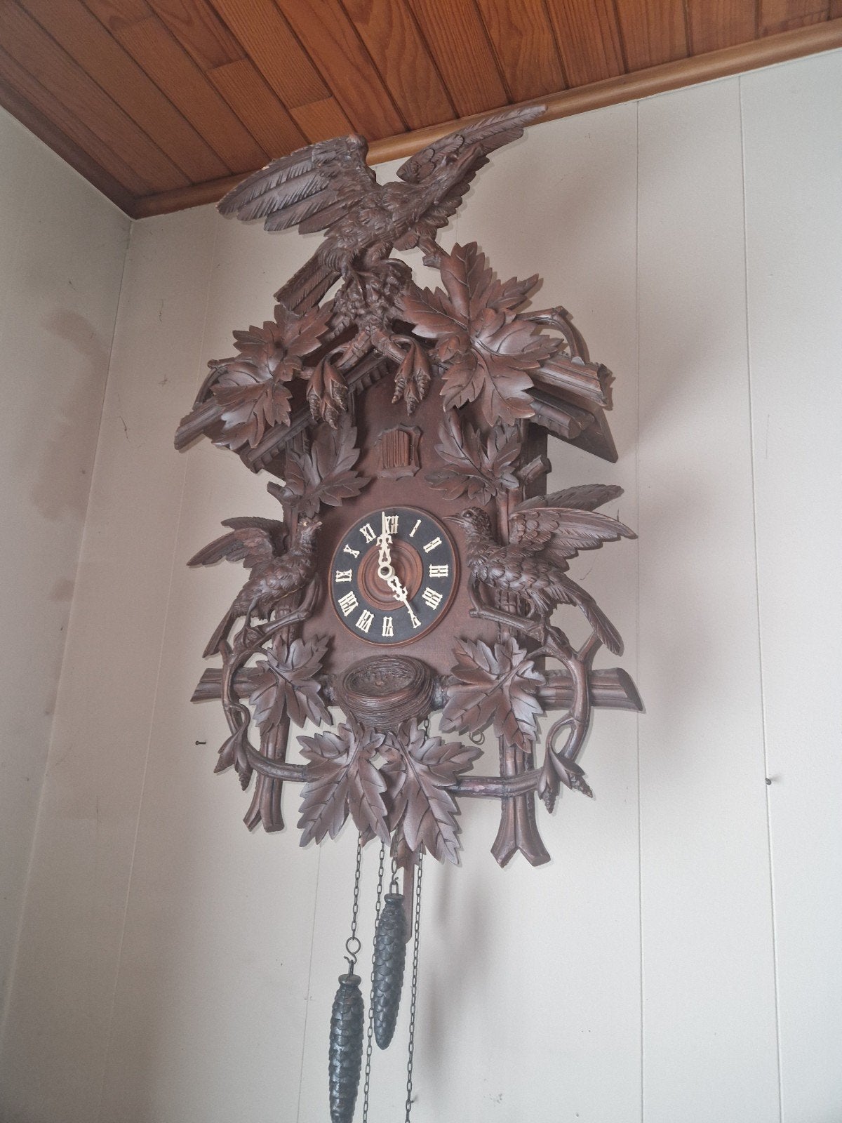 koekoeksklok, Ophalen of Verzenden