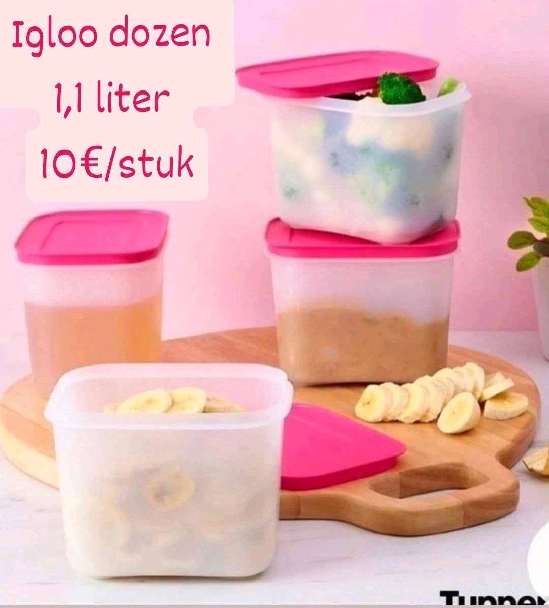 Boîtes à igloos Tupperware, Enlèvement ou Envoi, Neuf