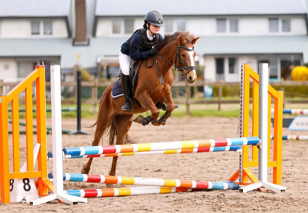 VERKOCHT 5j C pony met uitzonderlijk springvermogen, Animaux & Accessoires, Poneys, Poney C (1.27 m à 1.37m), B, Avec pedigree