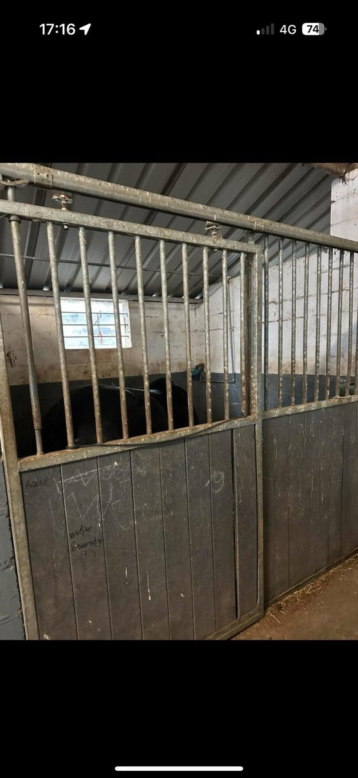 Pensionstalling meldert lummen, Dieren en Toebehoren, Stalling, 2 of 3 paarden of pony's