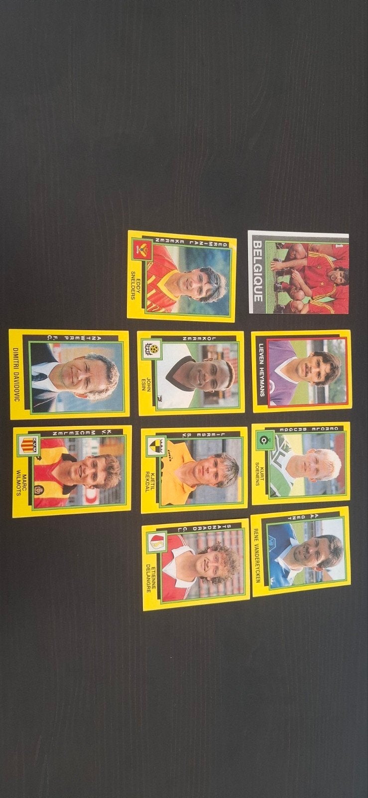 panini football 1991, Enlèvement ou Envoi