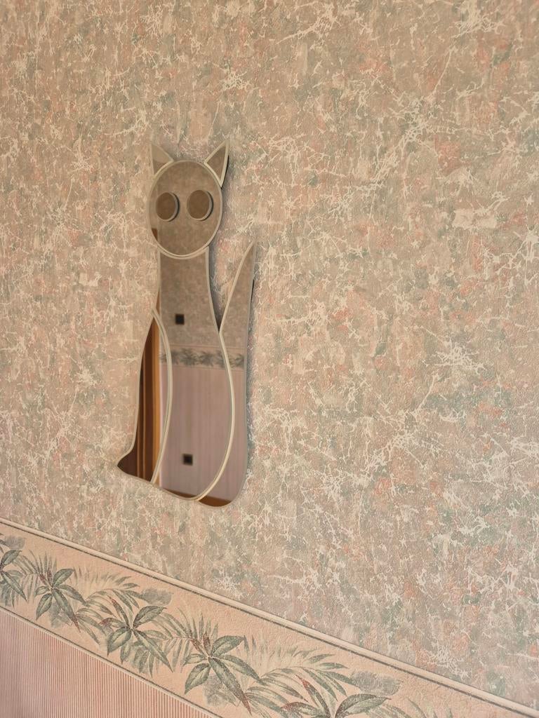 Chat miroir, Enlèvement