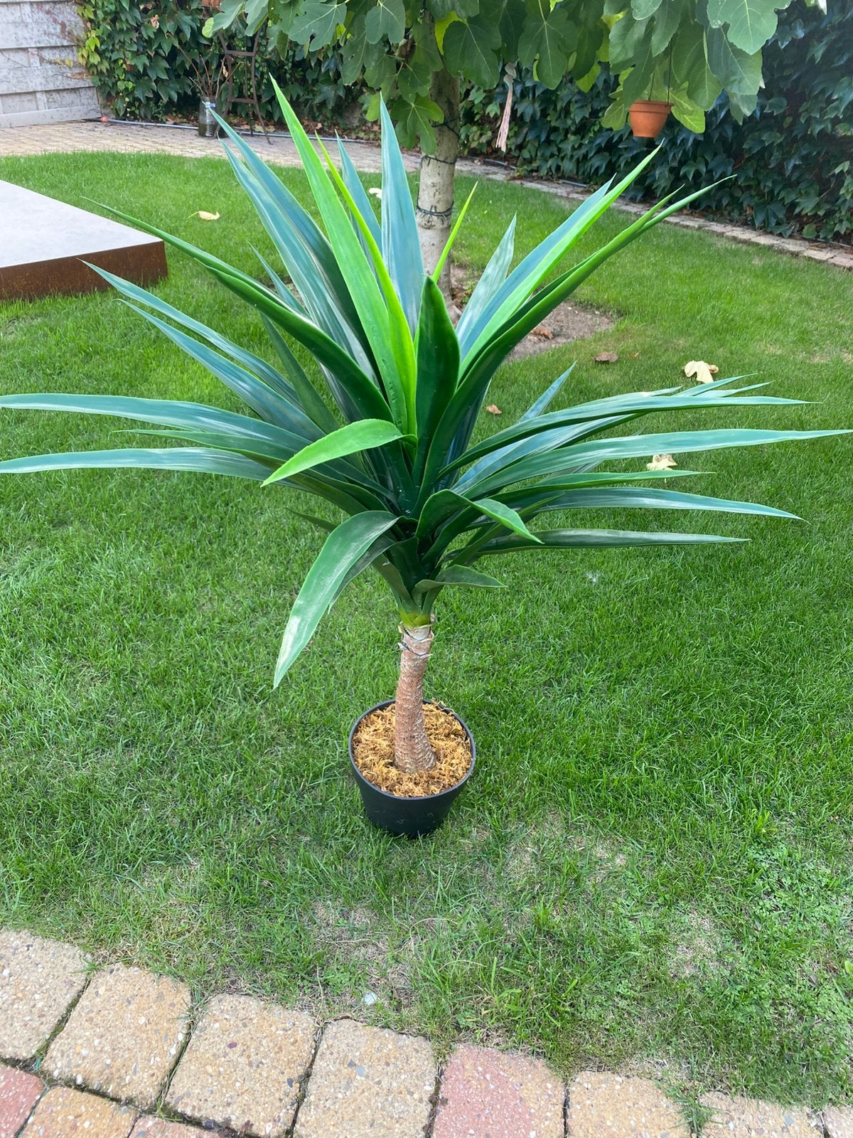Plant  kunstof, Ophalen