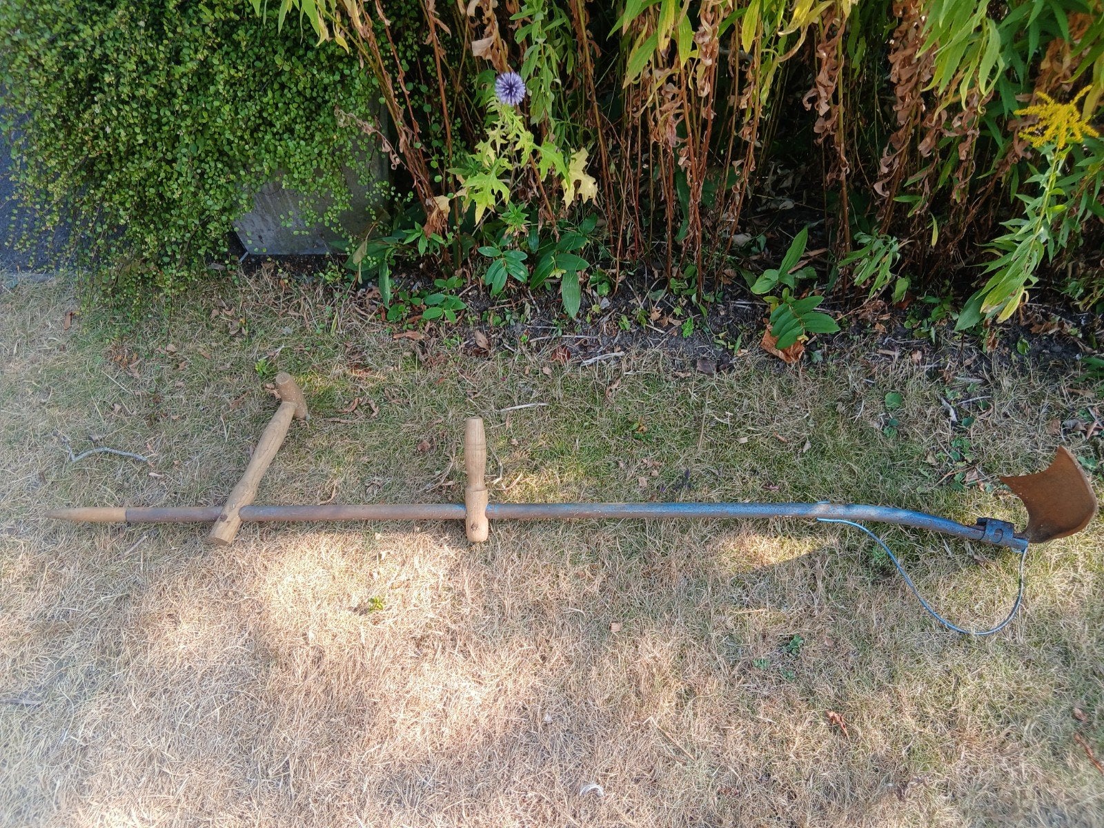 zeis Maestro,sikkel,snoeischaar voor buxus,jerrycan 5l, Tuin en Terras, Hand-tuingereedschap, Ophalen, Sikkel