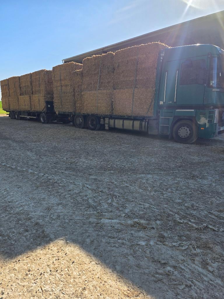 Foin a vendre, Enlèvement ou Envoi
