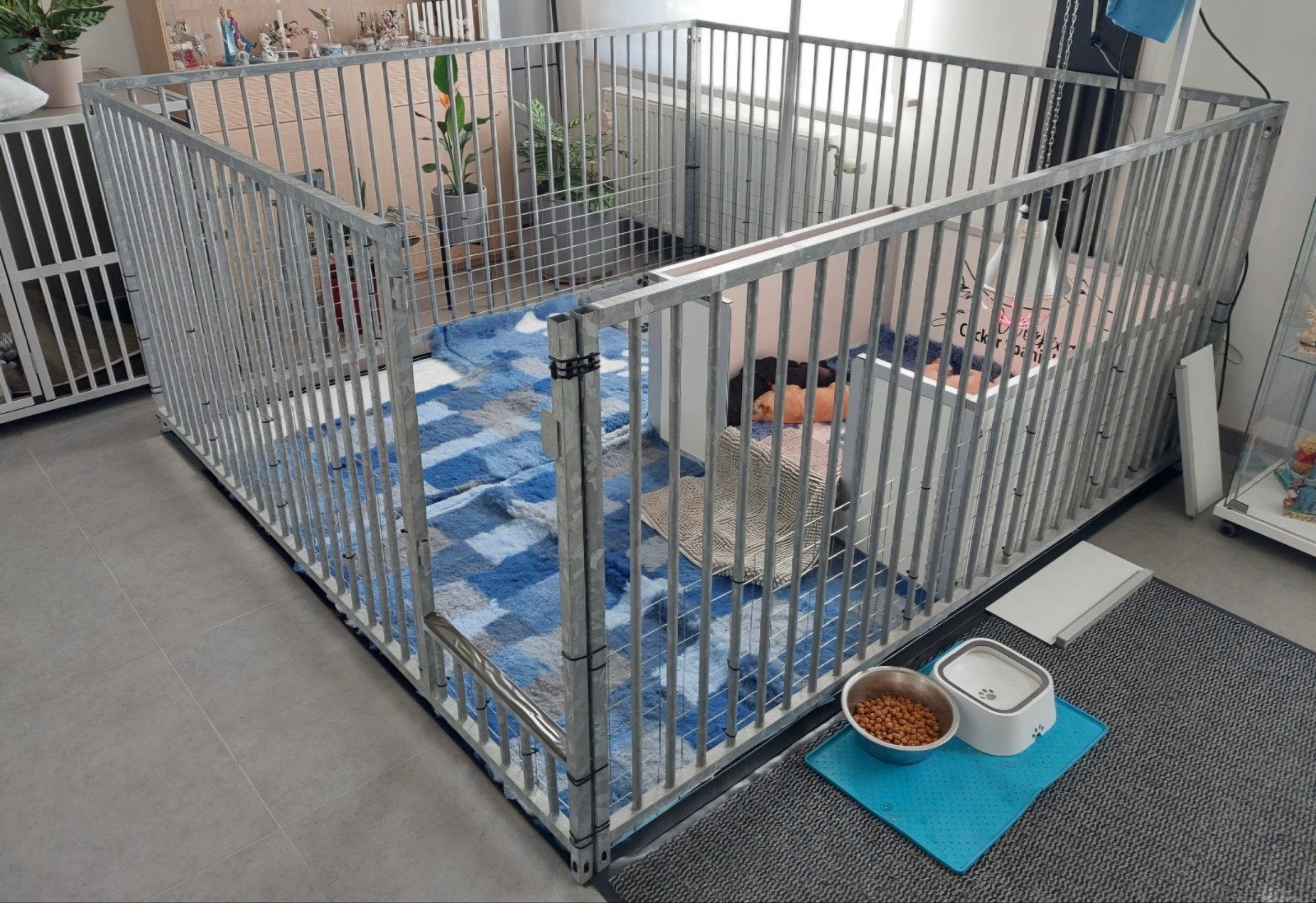 puppyren, Dieren en Toebehoren, Ophalen