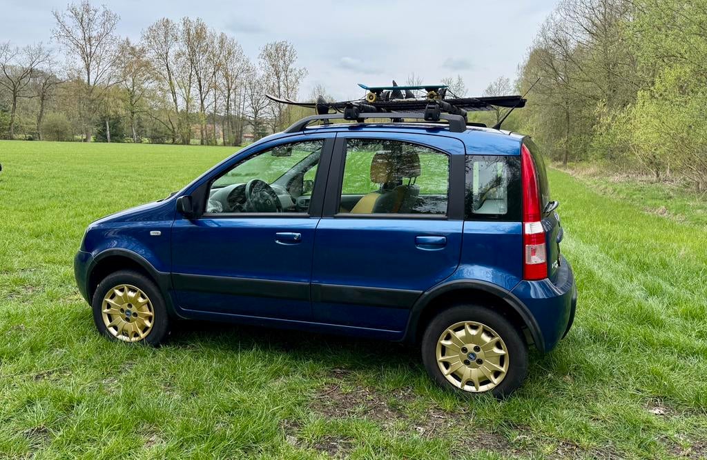 Fiat Panda 4x4, Achat, Panda, 1055 kg, Bleu