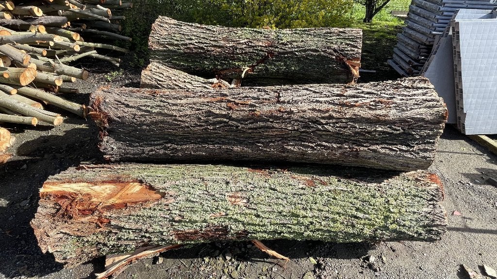 Hout kopwilgen: takken + stammen, 6 m³ of meer, Ophalen, Overige houtsoorten, Stammen
