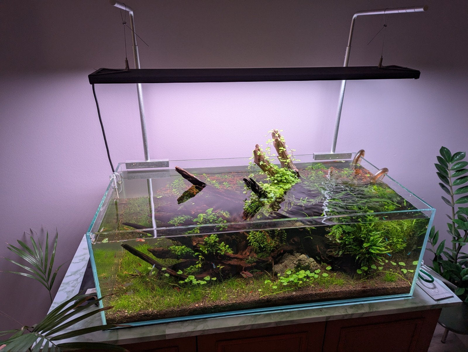 Volledige aquascape aquarium set, Enlèvement, Chihiros