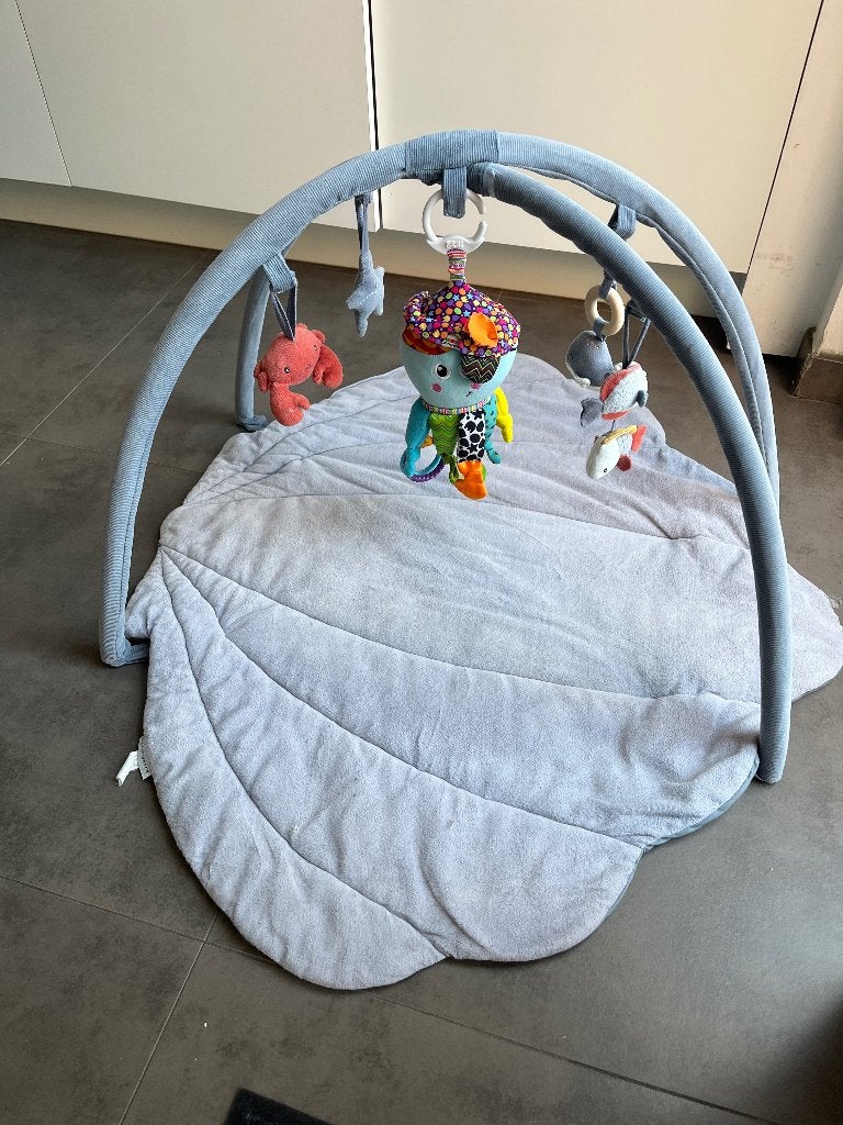 Little Dutch playmat with activity gym, Ophalen of Verzenden, Gebruikt