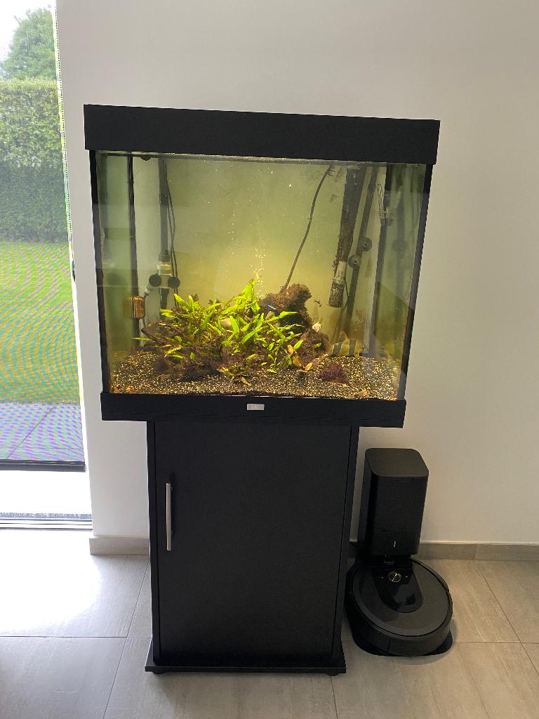 Te koop: compleet juwel aquarium van 200l met meubel, Dieren en Toebehoren, Juwel, Ophalen, Inclusief vissen, Gevuld zoetwateraquarium