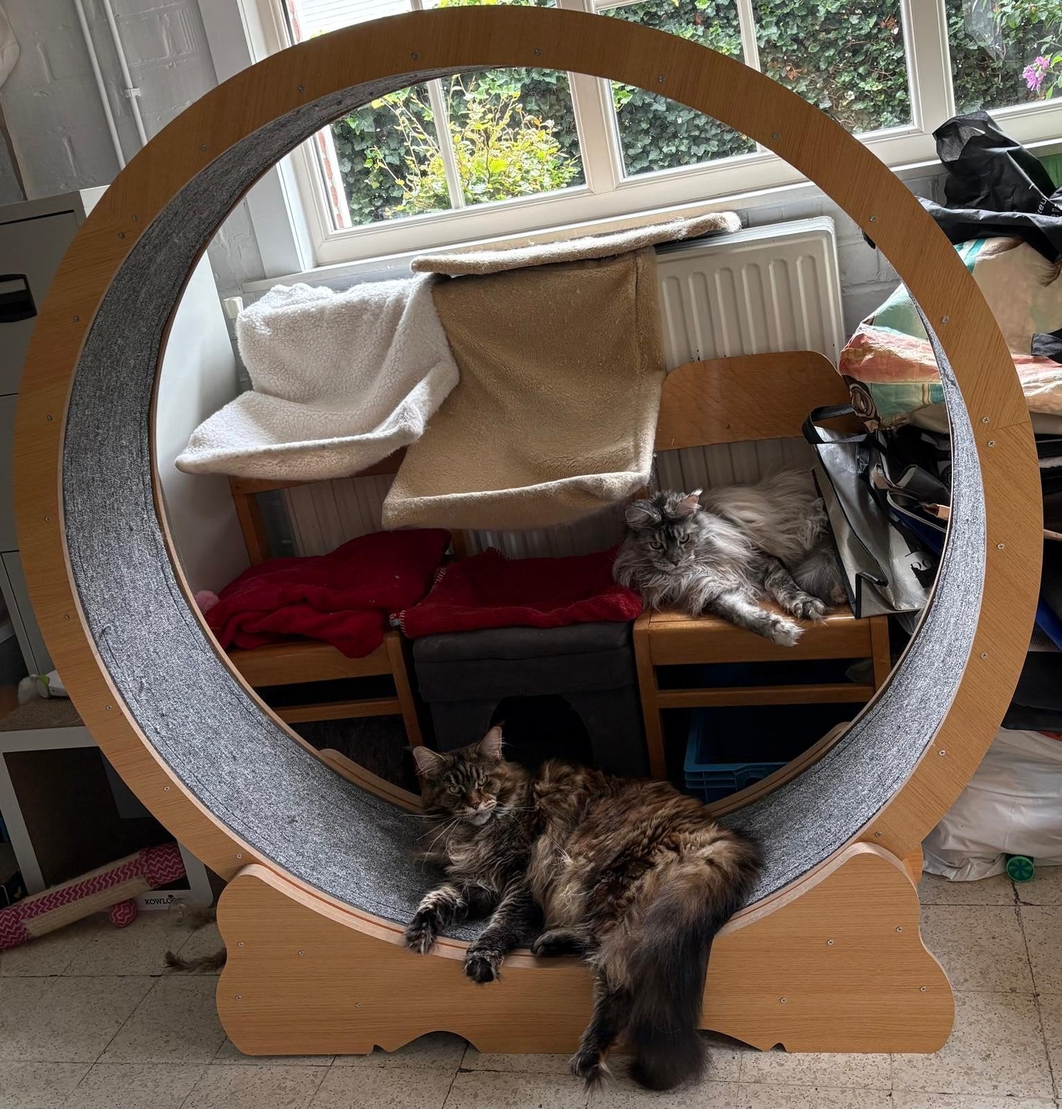 Groot kattenlooprad / kattenwiel, Dieren en Toebehoren, Ophalen