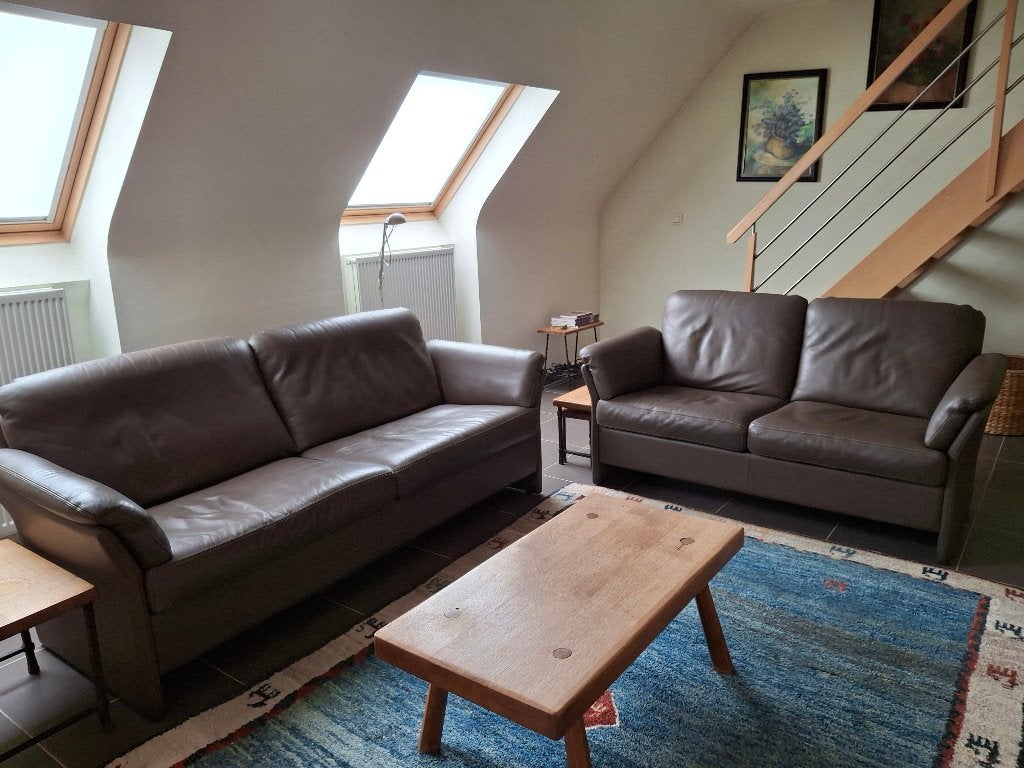 Lederen salon Durlet, Ophalen, Leer