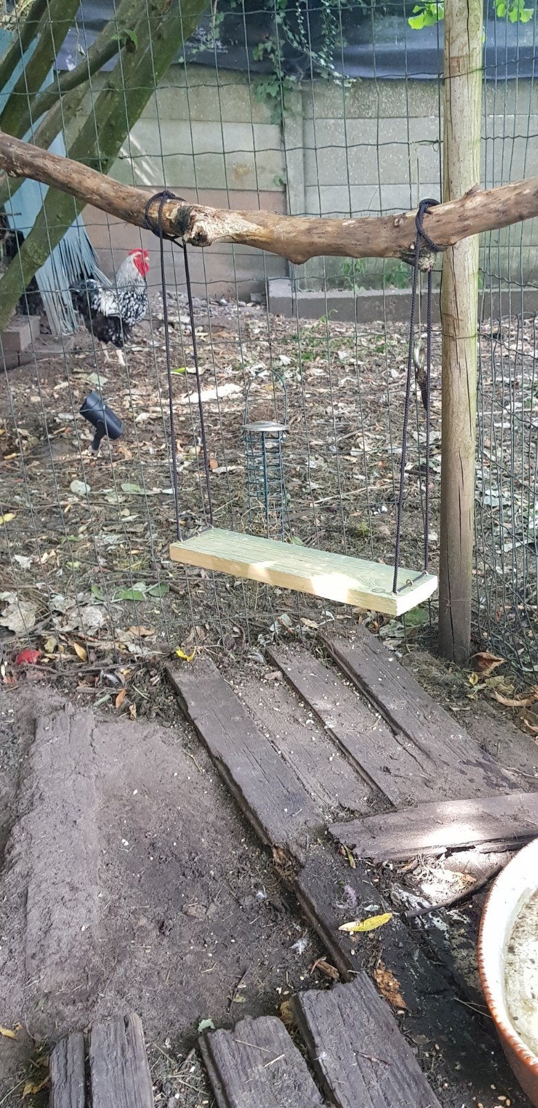 kippenschommel, Dieren en Toebehoren, Pluimvee