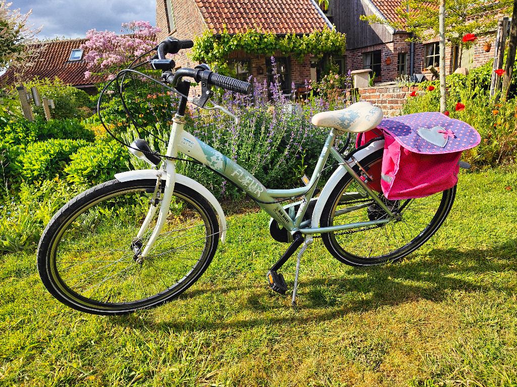 Meisjesfiets - 26 inch, Fietsen en Brommers, Gebruikt, Velgrem, Versnellingen, Ophalen